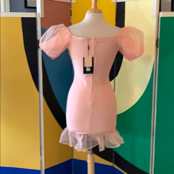 NWT pink bodycon dress with chiffon sleeve & hem - Picture 4 of 7